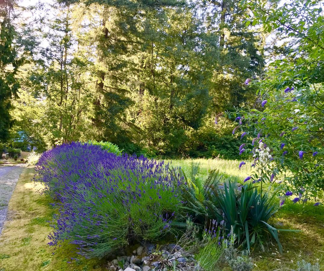 Auberge De Seattle, Estate Woodinville Exterior foto